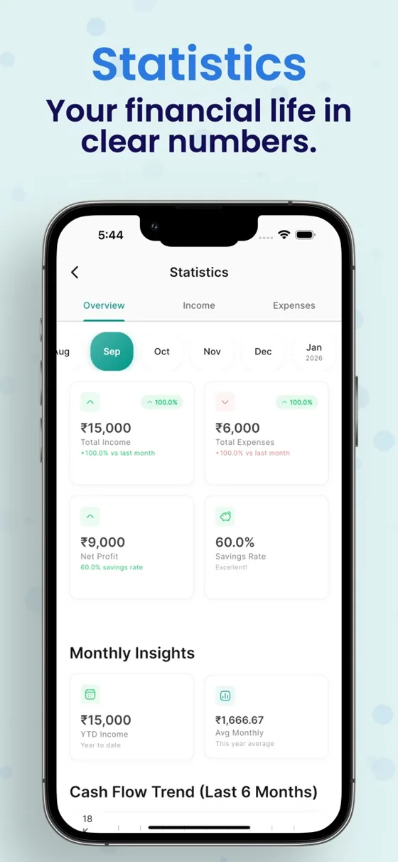 Statistics: income, expenses and net profit for the month